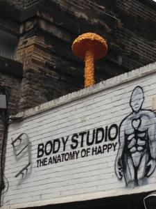 Christian Naagel Mushroom 2